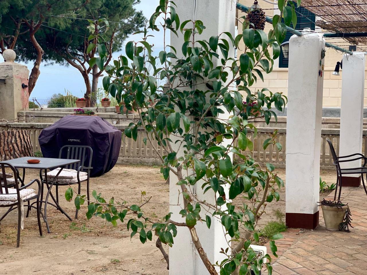 파르겔리아 Villino Eleonora B&B 외부 사진